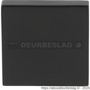 GPF Bouwbeslag Smeedijzer GPF9388.64 Outside veiligheidsbuitenrozet vierkant 54 mm SKG*** blind smeedijzer zwart - R21012915 - afbeelding 1