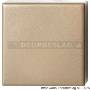 GPF Bouwbeslag Anastasius GPF9388.A4 Outside veiligheidsbuitenrozet vierkant 54x54x10 mm SKG*** blind Champagne blend - R21012937 - afbeelding 1