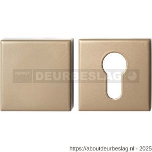 GPF Bouwbeslag Anastasius GPF9388.A4 Set veiligheidsrozetten vierkant 54x54x10 mm SKG*** buiten blind Champagne blend - R21012938 - afbeelding 1