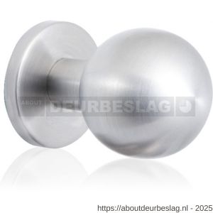 GPF Bouwbeslag RVS GPF9822.09 kogel voordeurknop 63 mm op rozet 63 mm RVS geborsteld - R21000320 - afbeelding 1