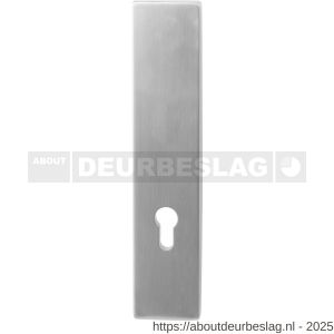 GPF Bouwbeslag RVS GPF9847.72 veiligheids buitenschild gatdeel SKG*** 248x52x11 mm rechthoekig PC72 zonder krukgat RVS geborsteld - R21005994 - afbeelding 1