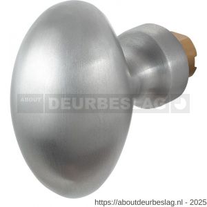 GPF Bouwbeslag RVS GPF9851.09 S4 Ei-knop 62 mm voor veiligheids schilden vast met bout M10 RVS geborsteld - R21013356 - afbeelding 1