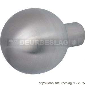 GPF Bouwbeslag RVS GPF9854.09 S5 kogel deurknop 50 mm voor veiligheidsschilden vast met wisselstift RVS geborsteld - R21003183 - afbeelding 1
