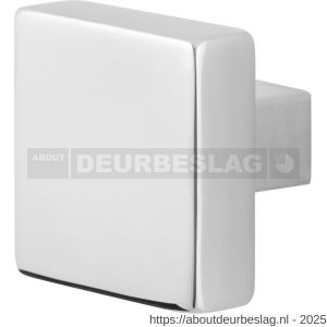 GPF Bouwbeslag RVS GPF9856.49 S4 vierkante deurknop 53x53x16 mm voor veiligheids schilden vast met bout M10 RVS gepolijst - R21006002 - afbeelding 1