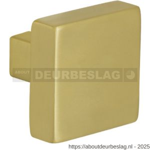 GPF Bouwbeslag PVD GPF9856.P4 S5 vierkante deurknop 53x53x16 mm voor veiligheids schilden vast met wisselstift PVD mat messing - R21000340 - afbeelding 1