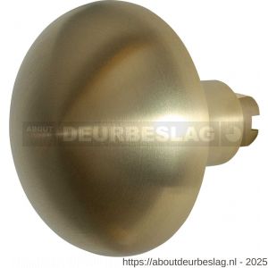 GPF Bouwbeslag PVD GPF9857.P4 S5 Paddenstoel deurknop 65 mm voor veiligheids schilden vast met wisselstift PVD mat messing - R21010514 - afbeelding 1