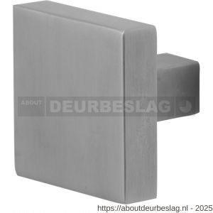 GPF Bouwbeslag RVS GPF9858.09 S4 vierkante deurknop RVS geborsteld 60x60x16 mm voor veiligheids schilden vast met bout M10 RVS geborsteld - R21000341 - afbeelding 1