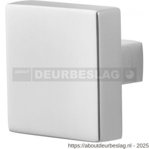 GPF Bouwbeslag RVS GPF9858.49 S5 vierkante deurknop RVS gepolijst 60x60x16 mm voor veiligheids schilden vast met wisselstift RVS gepolijst - R21000342 - afbeelding 1