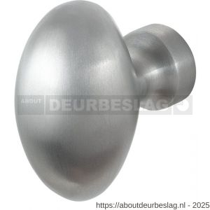 GPF Bouwbeslag RVS GPF9951.09 S3 Ei-knop 62 mm vast met metaalschroef M10 RVS geborsteld - R21013374 - afbeelding 1