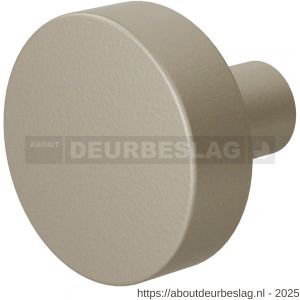 GPF Bouwbeslag Anastasius GPF9952.A4 S1 vlakke deurknop 52x16 mm draaibaar met krukstift Champagne blend - R21011050 - afbeelding 1