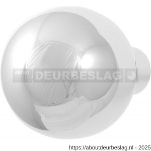 GPF Bouwbeslag RVS GPF9954.49 S1 kogel deurknop 50 mm draaibaar met krukstift RVS gepolijst - R21008080 - afbeelding 1
