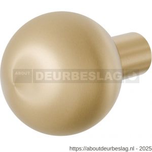 GPF Bouwbeslag PVD GPF9954.P4 S1 kogel deurknop 50 mm draaibaar met krukstift PVD mat messing - R21008103 - afbeelding 1