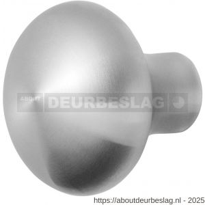 GPF Bouwbeslag RVS GPF9959.09 S1 Paddenstoel deurknop 52 mm draaibaar met krukstift RVS geborsteld - R21008942 - afbeelding 1