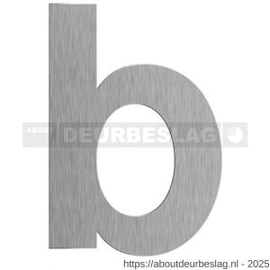 GPF Bouwbeslag RVS GPF9800.09.0156-b letter B 156 mm RVS geborsteld - R21010737 - afbeelding 1