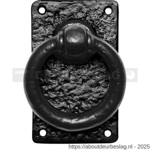 Kirkpatrick KP0717 ring 89 mm op plaat 127x77 mm met krukstift smeedijzer zwart - R21004984 - afbeelding 1