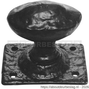 Kirkpatrick KP1089 knopkruk 60x38 mm op rechthoekig rozet 66x50 mm draaibaar smeedijzer zwart - R21003048 - afbeelding 1
