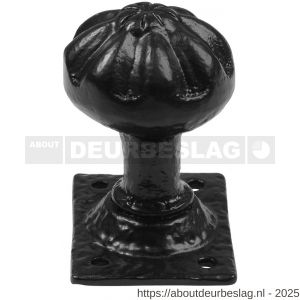 Kirkpatrick KP1203 knopkruk 50 mm op plaat 66x50 mm vast smeedijzer zwart - R21003049 - afbeelding 1