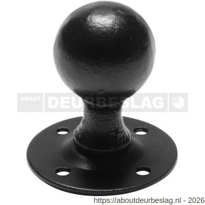 Kirkpatrick KP4085 knopkruk 44 mm op rozet 63 mm draaibaar smeedijzer zwart - R21003043 - afbeelding 1