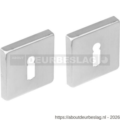 Intersteel 3510 sleutelrozetten verdekt 53x53x8 mm met nokken RVS - R26011383 - afbeelding 1
