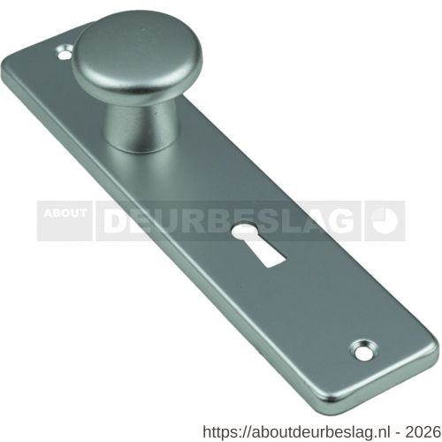 Ami 180/41 RH knopkortschild aluminium rondhoek knop 160/40 vast kortschild 180/41 RH sleutelgat SLG 56 F2 - R10900730 - afbeelding 1