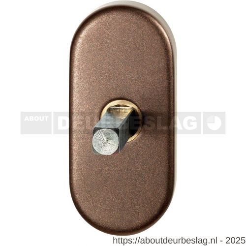 GPF Bouwbeslag Anastasius GPF1130.A2.0060 draaikiepmechanisme ovaal 65x30x12 mm met stift binnenzijde 65 mm Bronze blend - R21016954 - afbeelding 1